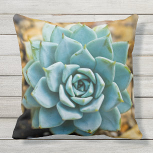Succulent Cushion