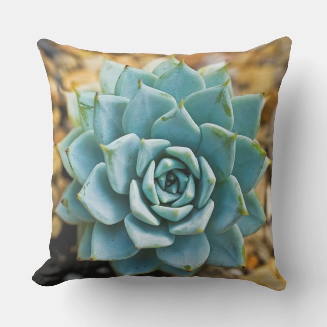 Succulent Cushion (Front)