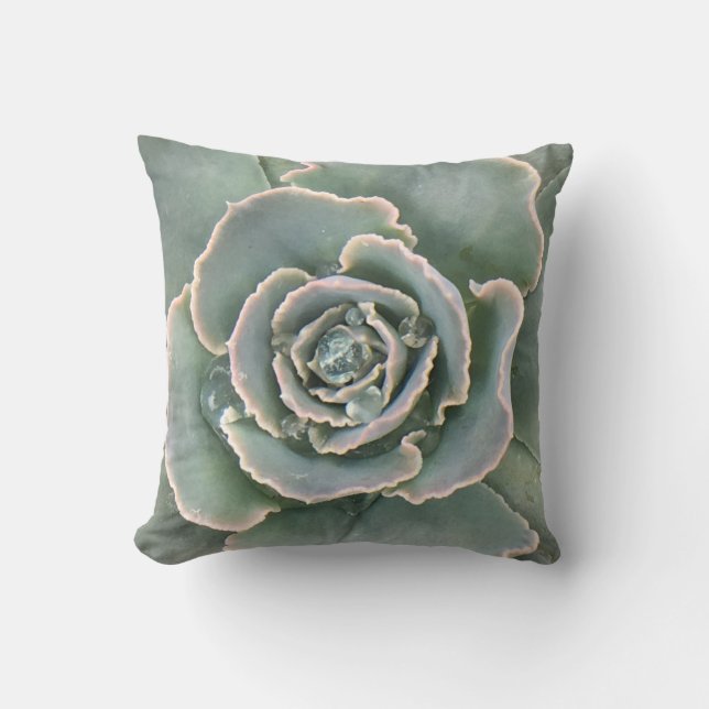 Succulent Cushion (Front)