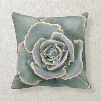 Succulent Cushions - Succulent Scatter Cushions | Zazzle.com.au