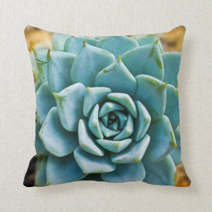 Succulent Cushion