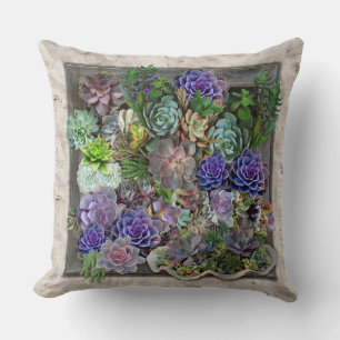 Succulent decor cushion