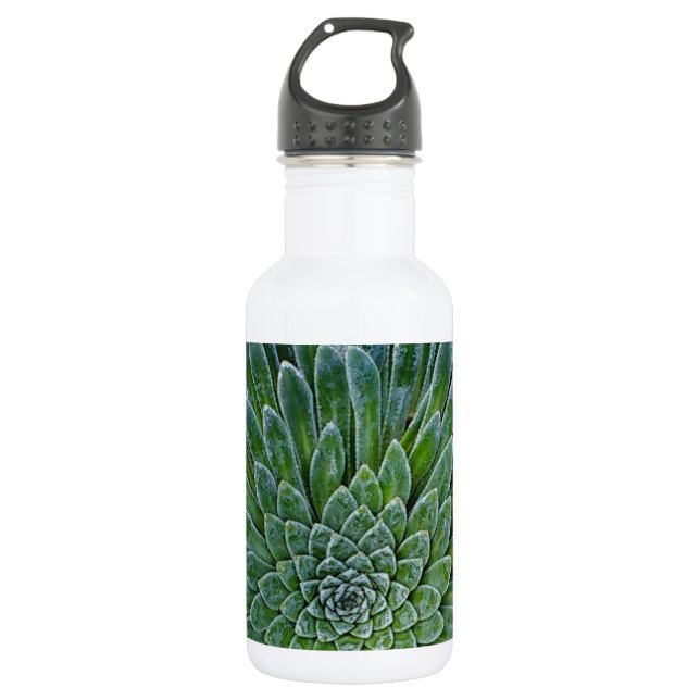 Succulent Desert plant 532 Ml Water Bottle (Front)