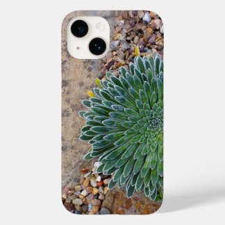 Succulent Desert plant Case-Mate iPhone 14 Case