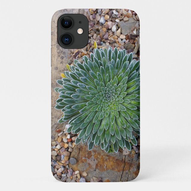 Succulent Desert plant Case-Mate iPhone Case (Back)