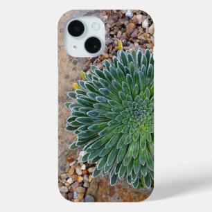 Succulent Desert plant iPhone 15 Case