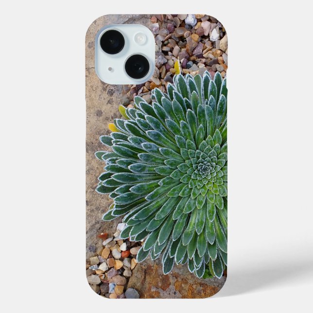 Succulent Desert plant Case-Mate iPhone Case (Back)