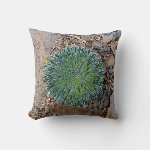 Succulent Desert plant Cushion