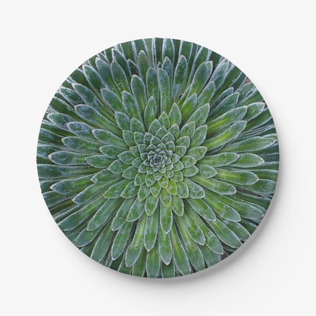 Succulent Desert plant Paper Plate (Front)