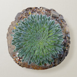 Succulent Desert plant Round Cushion