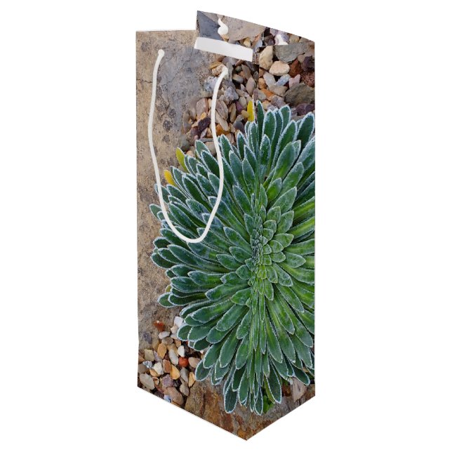 Succulent Desert plant Wine Gift Bag (Back Angled)