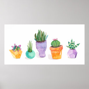 Succulent Display Poster