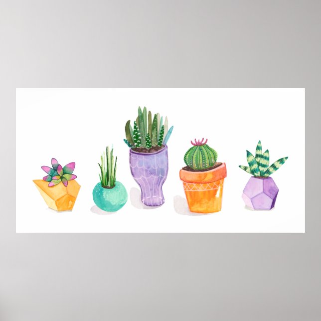 Succulent Display Poster (Front)