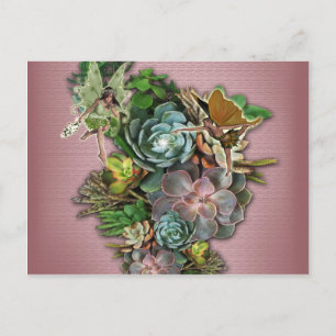 Succulent displays postcard