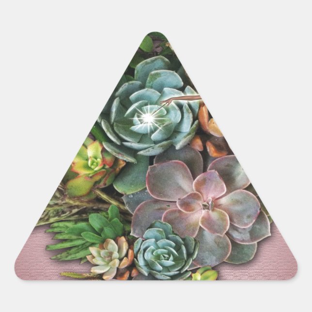 Succulent displays triangle sticker (Front)