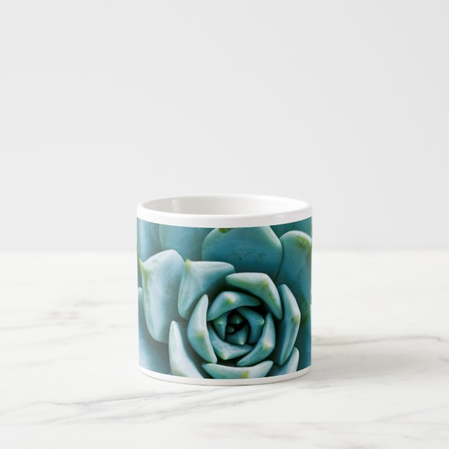 Succulent Espresso Cup (Front)