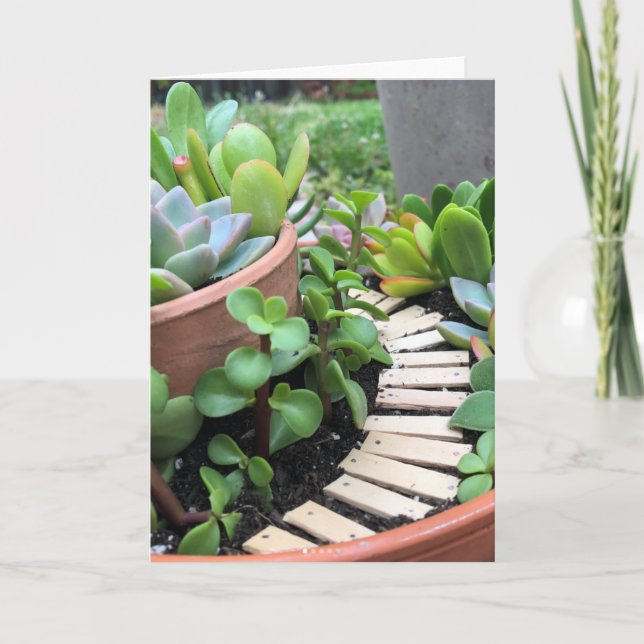 Succulent Fairy Garden Greeting Card (Front)