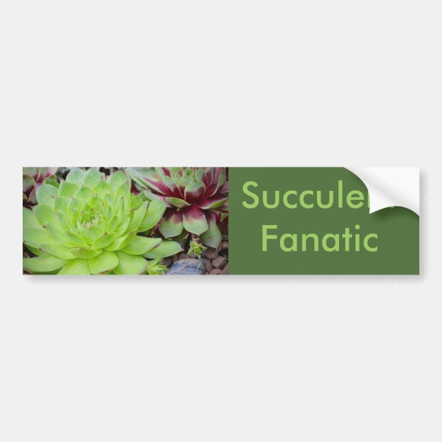 Succulent Fanatic Bumper Sticker (Front)
