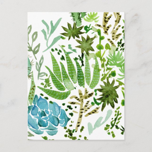 Succulent Field I Postcard (Front)