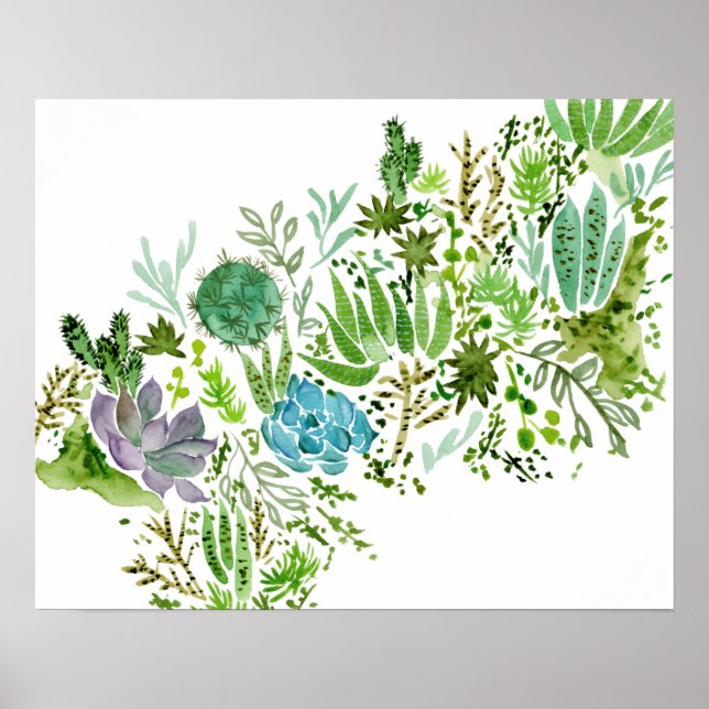 Succulent Field I Poster (Front)