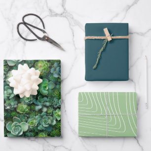 Succulent Flower Plant Pattern Green Colour Set Wrapping Paper Sheet