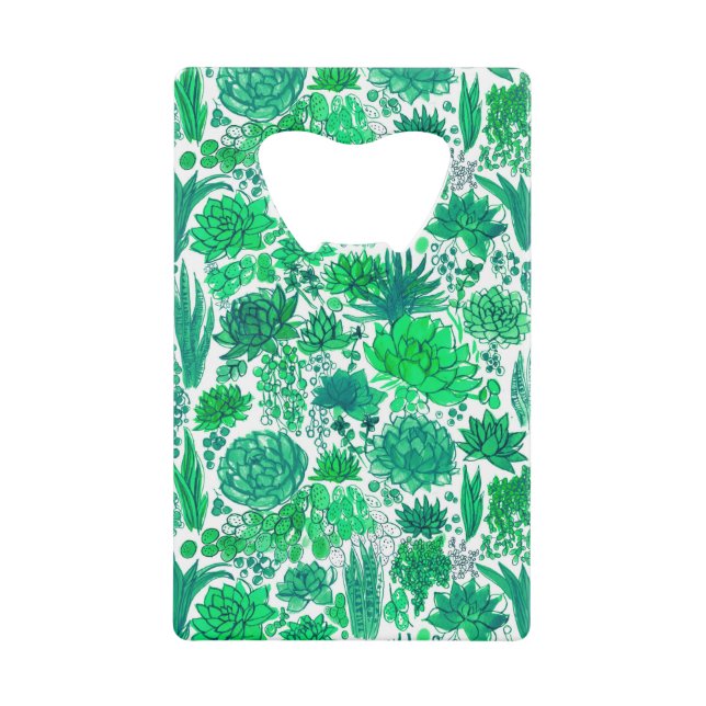 Succulent garden (Front)