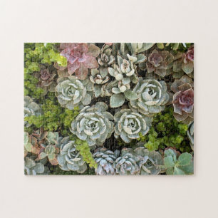 Succulent Garden 1 Jigsaw Puzzle