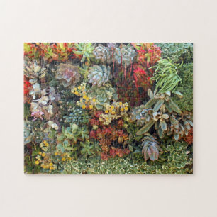 Succulent Garden 2 Jigsaw Puzzle