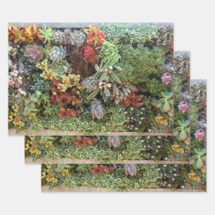 Succulent Garden 2 Wrapping Paper Sheet