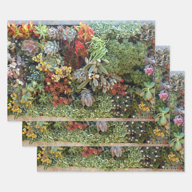 Succulent Garden 2 Wrapping Paper Sheet (Set)