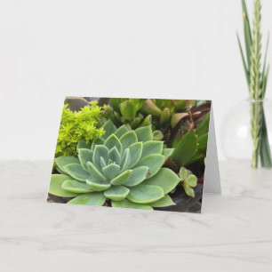 Succulent garden card