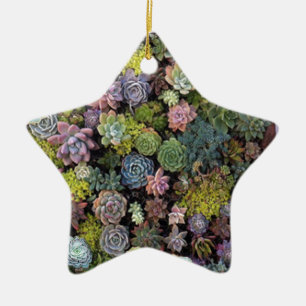 Succulent garden design ceramic ornament