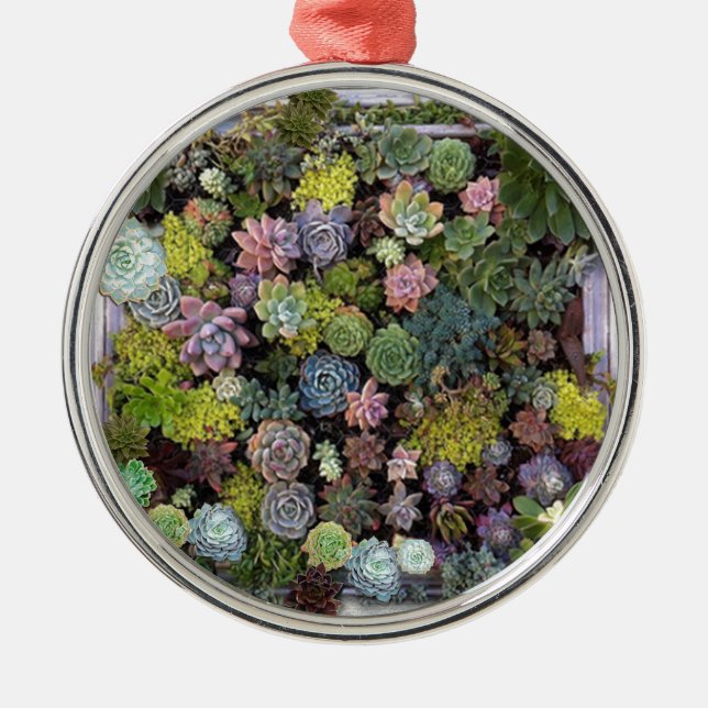 Succulent garden design metal ornament (Front)