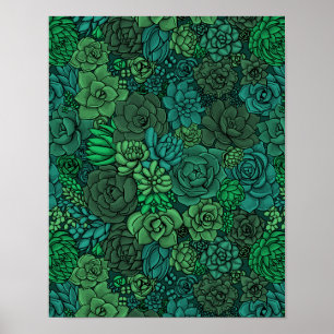 Succulent garden in green poster