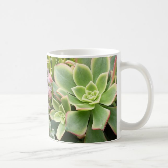 Succulent garden mug (Right)