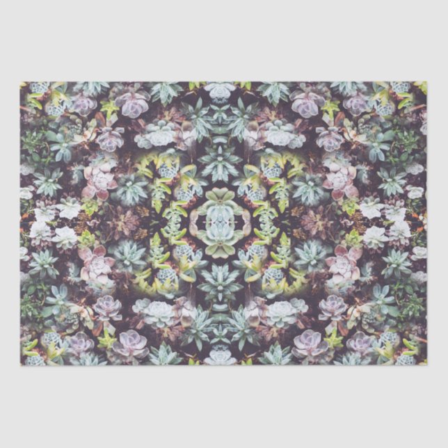 Succulent Garden Plants Photo Pattern Tissue Paper (Front)