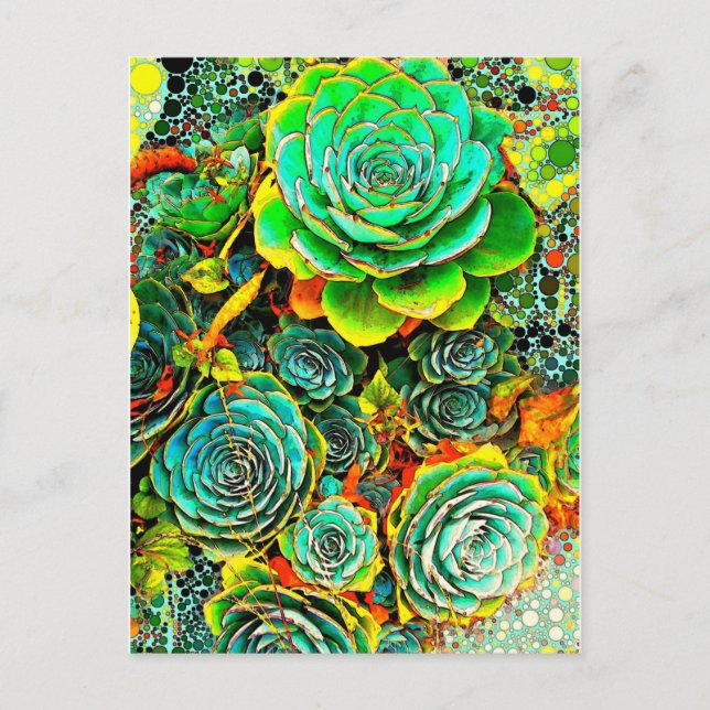 Succulent Garden Pop Art Postcard (Front)