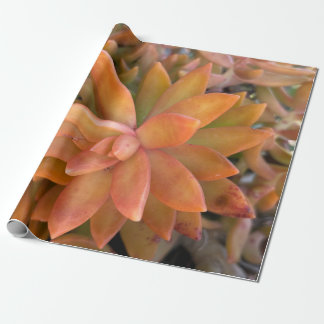 Succulent Gift Wrapping Paper