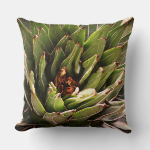 Succulent Green Plant Aloe Botanical Photography  Cushion