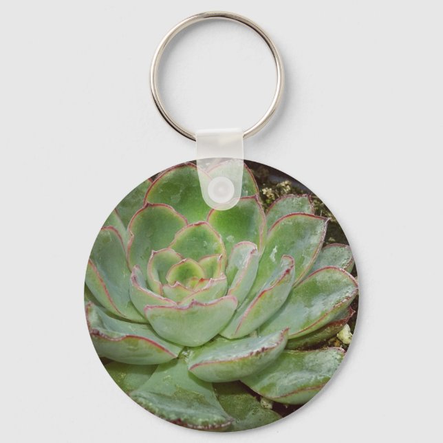 Succulent, Hen and Chicks Key Ring (Front)