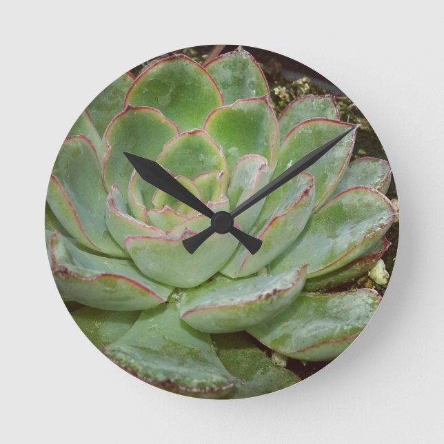 Succulent, Hen and Chicks Round Clock (Front)