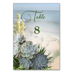 Succulent Hues of Pale Blues Table Number