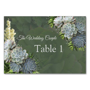 Succulent Hues of Pale BluesTable cards