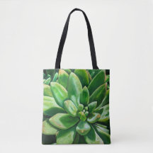 Succulent in green