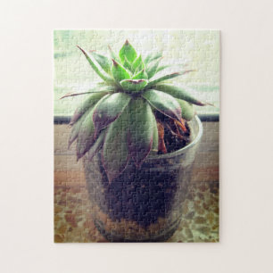 Succulent Indoor Gardening Relaxing Self-Care Jigsaw Puzzle