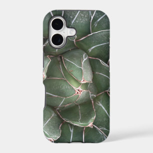 Succulent iPhone SE + iPhone 5/5S