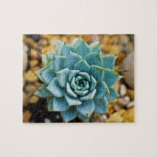 Succulent Jigsaw Puzzle