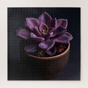 Succulent jigsaw puzzle