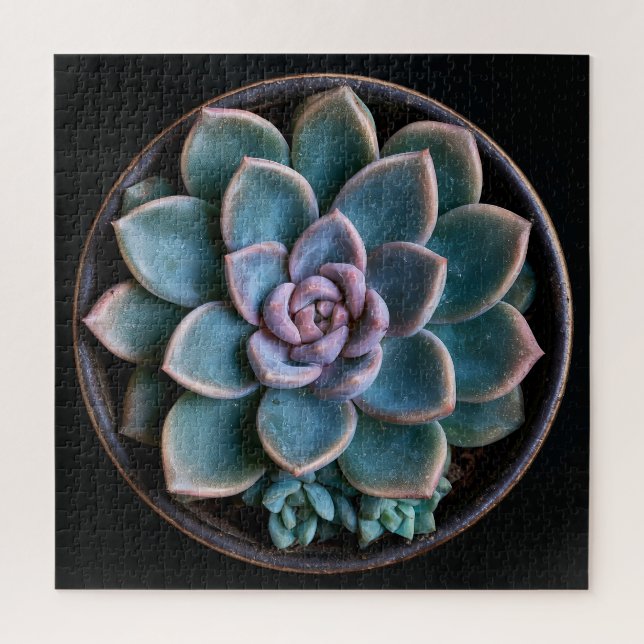 Succulent  jigsaw puzzle (Vertical)
