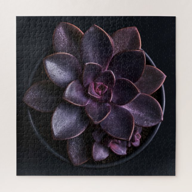 Succulent  jigsaw puzzle (Vertical)